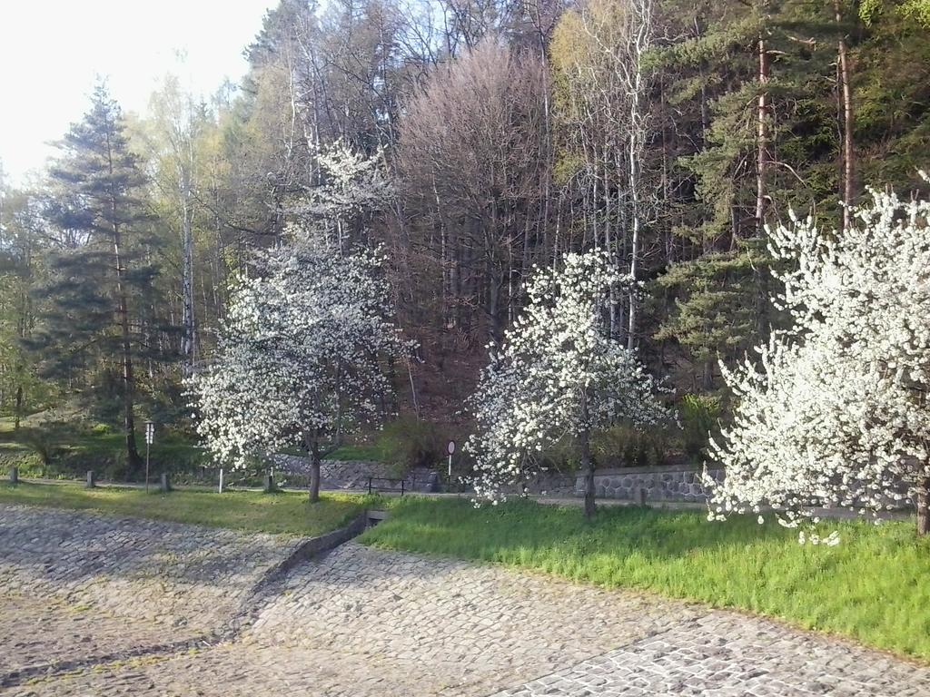 Penzion Hotelu Central Dvur Kralove nad Labem Luaran gambar